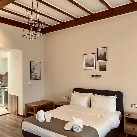 11 Luxury Apartments Metsovo Exteriör bild