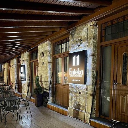 11 Luxury Apartments Metsovo Exteriör bild