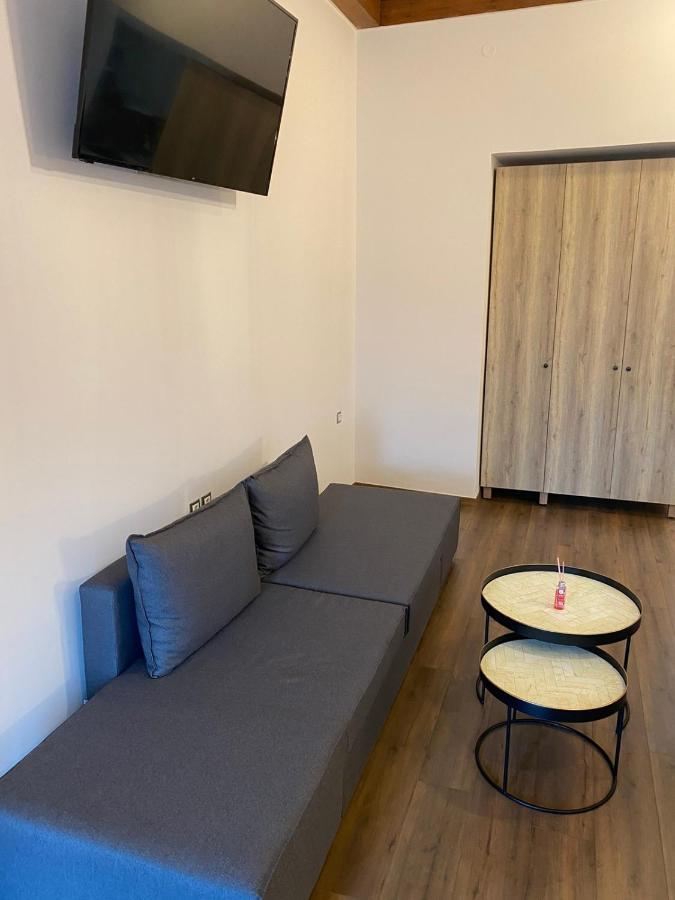 11 Luxury Apartments Metsovo Exteriör bild