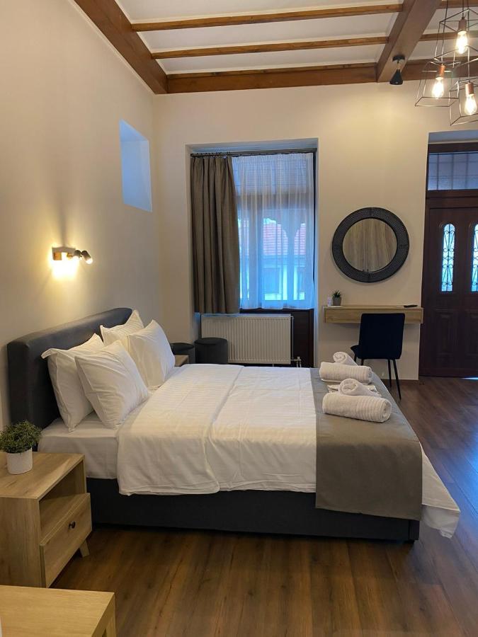 11 Luxury Apartments Metsovo Exteriör bild
