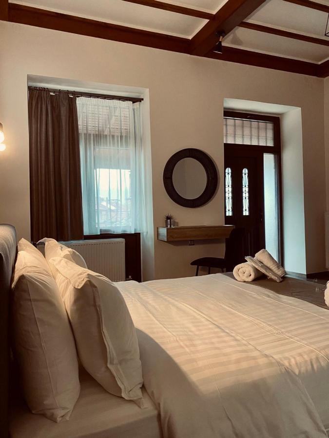 11 Luxury Apartments Metsovo Exteriör bild