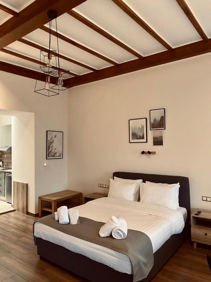 11 Luxury Apartments Metsovo Exteriör bild