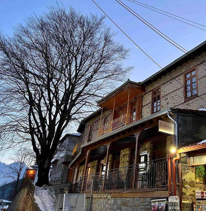 11 Luxury Apartments Metsovo Exteriör bild