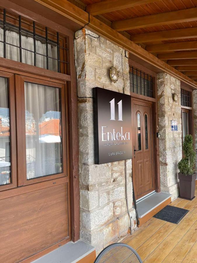 11 Luxury Apartments Metsovo Exteriör bild