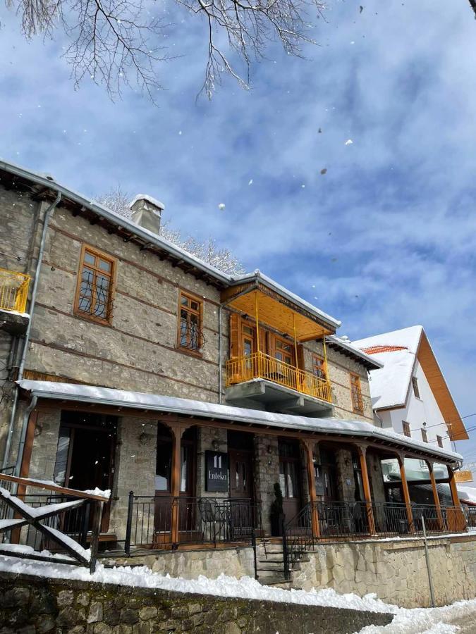 11 Luxury Apartments Metsovo Exteriör bild